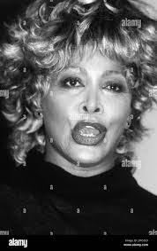 Tina Lunt's Instagram, Twitter & Facebook