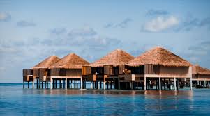 Check spelling or type a new query. 10 Best Overwater Bungalows You Can Actually Afford