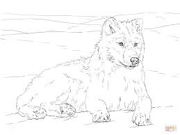 You can use our amazing online tool to color and edit the following arctic coloring pages. Arctic Wolf Coloring Page Free Printable Coloring Pages 2597612 Png Images Pngio