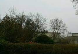 Es wird auch geräteschuppen oder gartenlaube genannt. Archiv Hauser Zum Verkauf Goetheweg Rohrsdorf Mapio Net
