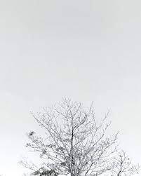 Tunjukkan kepribadianmu dengan background keren kualitas hd, pilih dari 2.000 latar belakang gratis, beragam background ppt keren menakjubkan. 29 Gambar Background Putih Keren Gambar Keren Coy