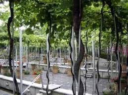 Parc De La Villette