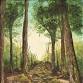 Forest Stroll