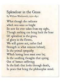 Splendour In The Grass Poem William Wordsworth Poetry Art Etsy