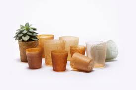 Shellworks Recycle Les Coquilles De Homard Pour Creer Des Objets En Bioplastiques Emballage Biodegradable Objet Coquille