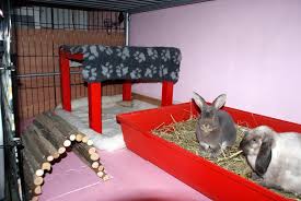 I know several devoted rabbit parents that have bunnies living in bedrooms. Pin By Delicia Kammies On Pet Rabbits Indoor Bunny House Bunny House Rabbit