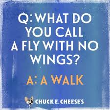 What Do You Call A Fly With No Legs Dad Quotes Love Dad Dad Hacks