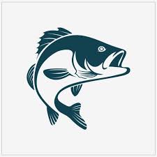 Pin On Fish