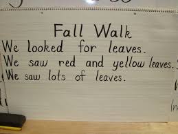 Language and literacy instruction - the importance of reading and strategies for teaching — Steemit