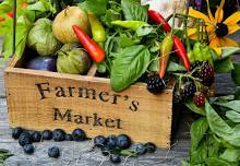 Project SAGE at Kent Farmers Market