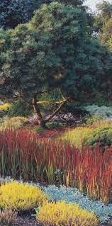 Pin On Spectacular Plantings