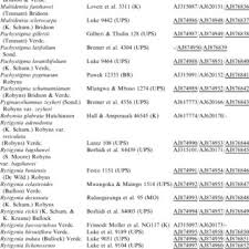 Image result for Rytigynia monantha