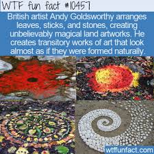 Wtf Fun Fact Magical Art With Nature Wtf Fun Facts Fun Facts Weird Facts