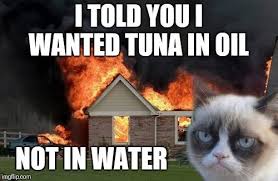 Grumpy Cat Fire Dog Memes Cat Vs Dog Grumpy Cat