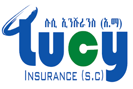 The ethiopian insurance sector has no proper adjustment system, since there is no adequate the ethiopian economy is becoming attractive for foreign investors because of the recently issued. Apr 2021 Lucy Insurance Profit Latest Ethiopian News Addisbiz Com