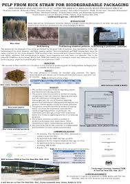Was selected the national winner. Pdf Pulp From Rice Straw For Biodegradable Packaging