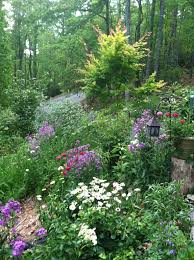 We did not find results for: Woodland Garden Beautiful Home Gardens Woodland Garden Lawn And Landscape