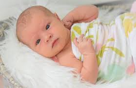 Theresa Gray Photography