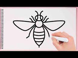 How To Draw A Bee Easy Step By Step With This How-to Video And Step-by-step Drawing Instructions Easy Animals T Bee Drawing Honey Bee Drawing Bee Drawing Easy