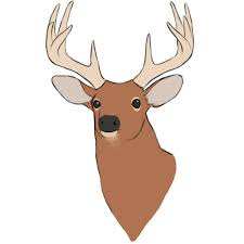 How to draw deer antlers easy. How To Draw A Deer Head Easy Drawing Art
