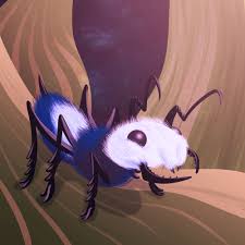 Image result for panda ant