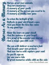 Horses As A Memory A Poem About Saying Good Bye Sass In Boots Sayings Goodbye Quotes Horses