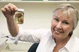 Fire shooting 'butterfly bobtail' named in honour of Professor Merlin  Crossley!