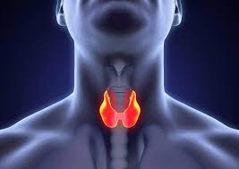 The first sign of it is usually the appearance of a painless lump in the front of a person's neck. Early Signs Of Medullary Thyroid Cancer And Common Symptoms