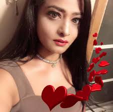 Soil Quality and Prices at Menards for Chicago Gardeners