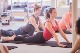 Why the Swan? • BASI™ Pilates