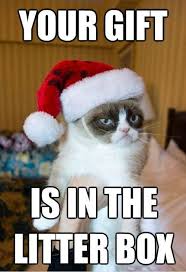 Grumpycat Meme Grumpy Cat Stuff Gifts Coupons Meme On Www Pinterest Com Erikakaisersot Grumpy Cat Quotes Grumpy Cat Christmas Christmas Memes Funny