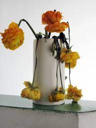 How to transplant water lily plants. 10 Fun Ways To Repurpose A Bouquet Of Almost Dead Flowers Organic Authority