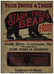 Search for stark nursery fruit trees more information at theweb.com! Prize Fruits Trees Stark Trees Bear Fruit Good Soft Cover 1928 Jim Hodgson Books