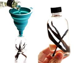 Homemade Vanilla Extract Gimme Some Oven Recipe Homemade Vanilla Extract Homemade Vanilla Vanilla Extract