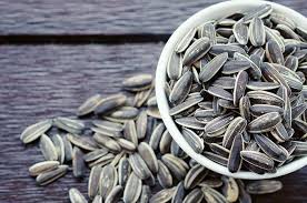 Penelitian ilmiah dietary factors and risk of gout and. Jarang Diketahui 5 Manfaat Kuaci Biji Bunga Matahari Bagi Kesehatan Semua Halaman Cewekbanget