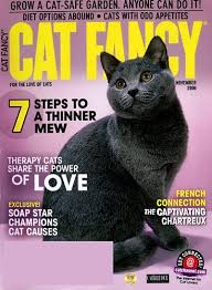 Your cat magazine, warners group publications plc bourne, uk, pe10 9ph. Cat Fancy Magazine Subscription Deal 1 Year For 5 29 Stretching A Buck Stretching A Buck