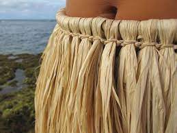 Hula Skirt Made With Raffia Grass Hula Pinterest