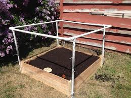 We did not find results for: Protect Your Garden From Cats Deer And Rabbits My Diy Cage To Keep Cats And Deer Out Of My Raised Raised Garden Beds Square Foot Gardening Veggie Garden