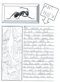 Ants Nature Study Nature Study Science Journal Elementary Science Experiments