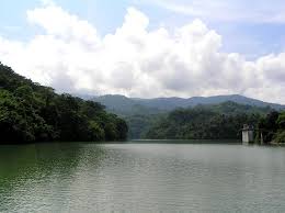 The minimum order quantity is 10 shares. Water And Trees Are Life Sunstar