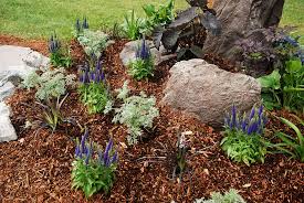 Jul 14, 2021 · leaf mulchesuses a simple form of composting to reuse your lawn by revitalizing the soil and building nutrients for new plants. Can You Fertilize On Top Of Mulch Pepper S Home Garden