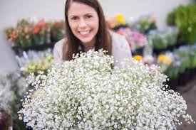 We did not find results for: Wedding Flowers Brisbane Tesselaar Flowers