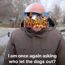 The sheer number of emails and advertisements can fatigue even the most passionate bernie supporters. I Am Once Again Asking Who Let The Dogs Out I Am Once Again Asking For Your Financial Support Know Your Meme