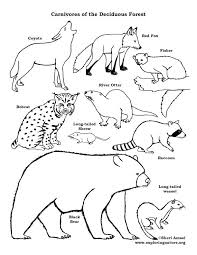 Pin On Color Animals