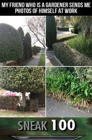 Sneak 100 Really Funny Memes Funny Pictures Stupid Funny Memes