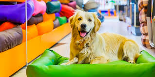 Pet Shop