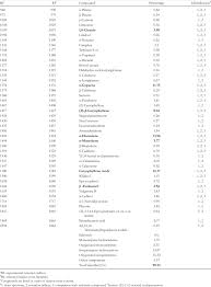 Image result for Endostemon tereticaulis