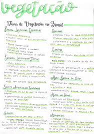 vegetacao motivacao geografia o desmatamento