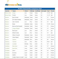 rigorous parrot comparison chart parrot comparison chart