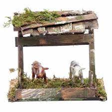 Pin Su Animales En Miniatura Miniature Animals